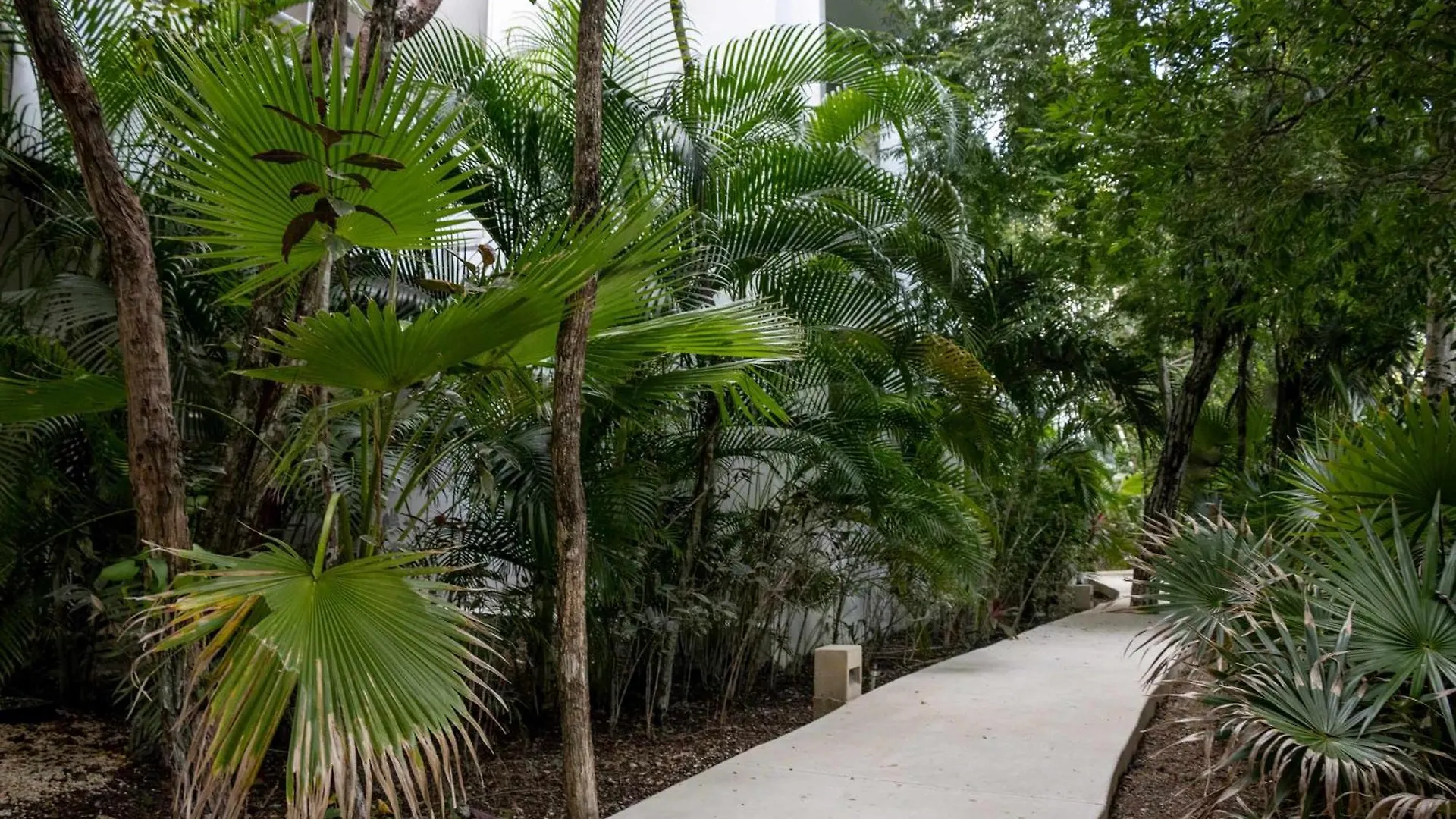Apartment Modern Apt Tulum With 2 Bdr Gym & Pool